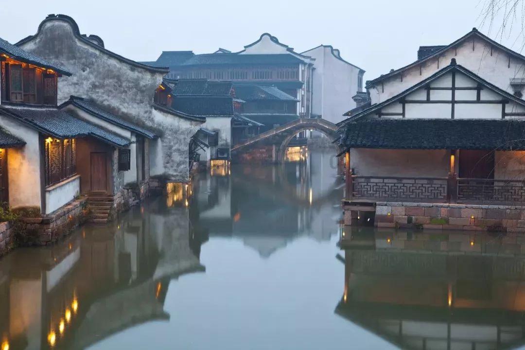 植物大战僵尸4